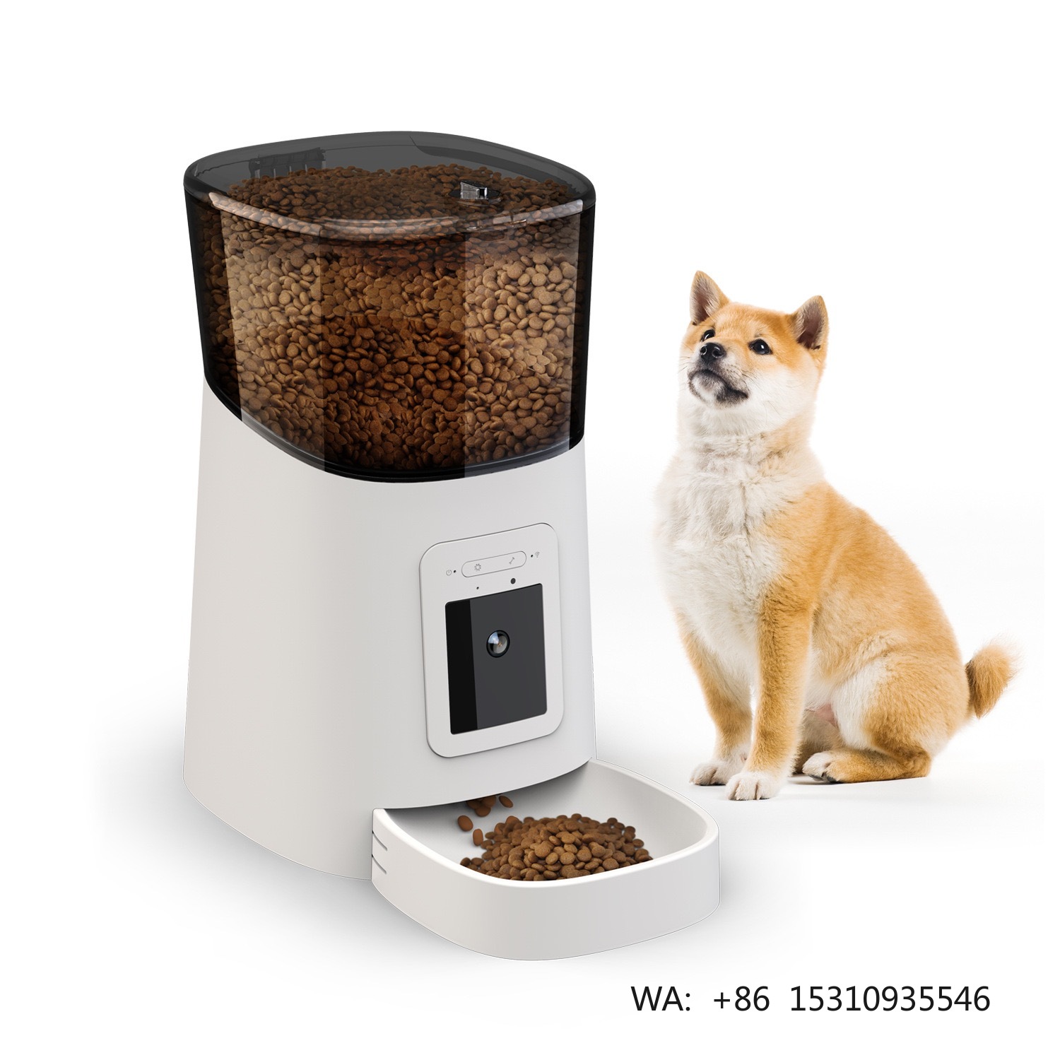 Best Food Storage - 2024 Best Selling Stainless Steel Cat