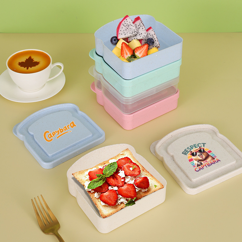 Capybara Sandwich Food Storage - Food Storage Lunch Box recension och pris